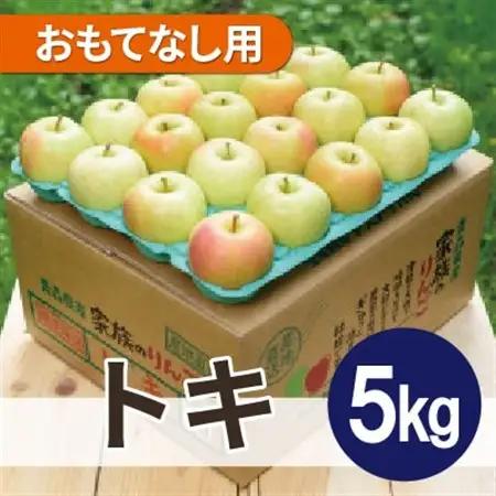 平均糖度13度以上! トキ 約5kg おもてなし用_果物・フルーツ りんご  リンゴ 林檎_【配送不可地域：沖縄県】【1611809】