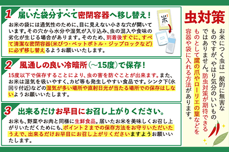 令和6年産 岡山県の2種食べ比べセット【きぬむすめ×あきたこまち】《30日以内に出荷予定(土日祝除く)》10kg 以上 あきたこまち きぬむすめ 米 コメ