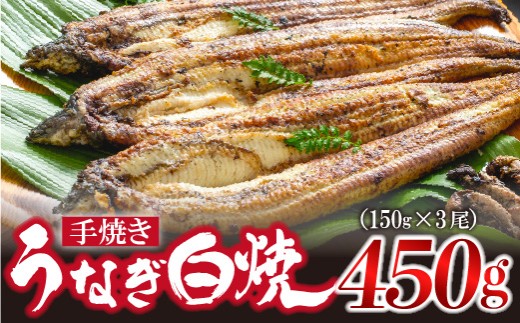 九州産手焼きうなぎ白焼き 3尾（約450g） [M828-1]