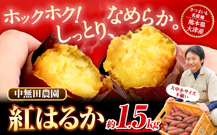 熊本県大津町産 中無田農園の紅はるか 約1.5kg (大中小サイズ不揃い) 熊本県大津町 《1-5日以内に出荷(土日祝除く)》 さつまいも 芋 スイートポテト 干し芋にも 名産地 特産品 秋 旬---fn_nkmtben_s_24_4000_1500g---