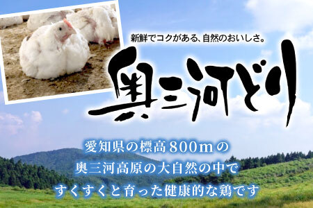 愛知県産 銘柄鶏 奥三河どり 半羽 小分け 約0.9ｋｇ 鶏肉セット 冷凍 生 生鶏 チキン クリスマス パーティー バーベキュー BBQ アウトドア キャンプ ダッチオーブン チキン 鶏肉 鶏 高品