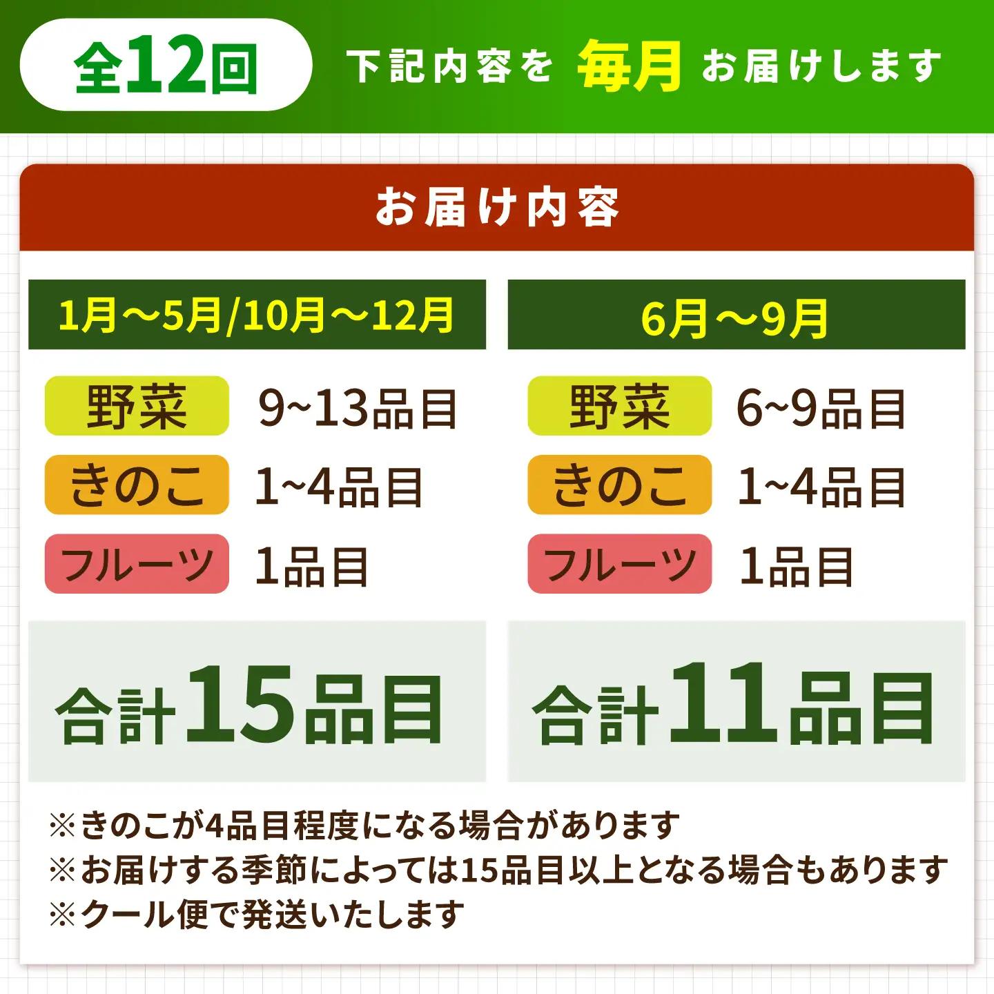 【12回】野菜定期便 15品目 野菜セット [SCZ019]