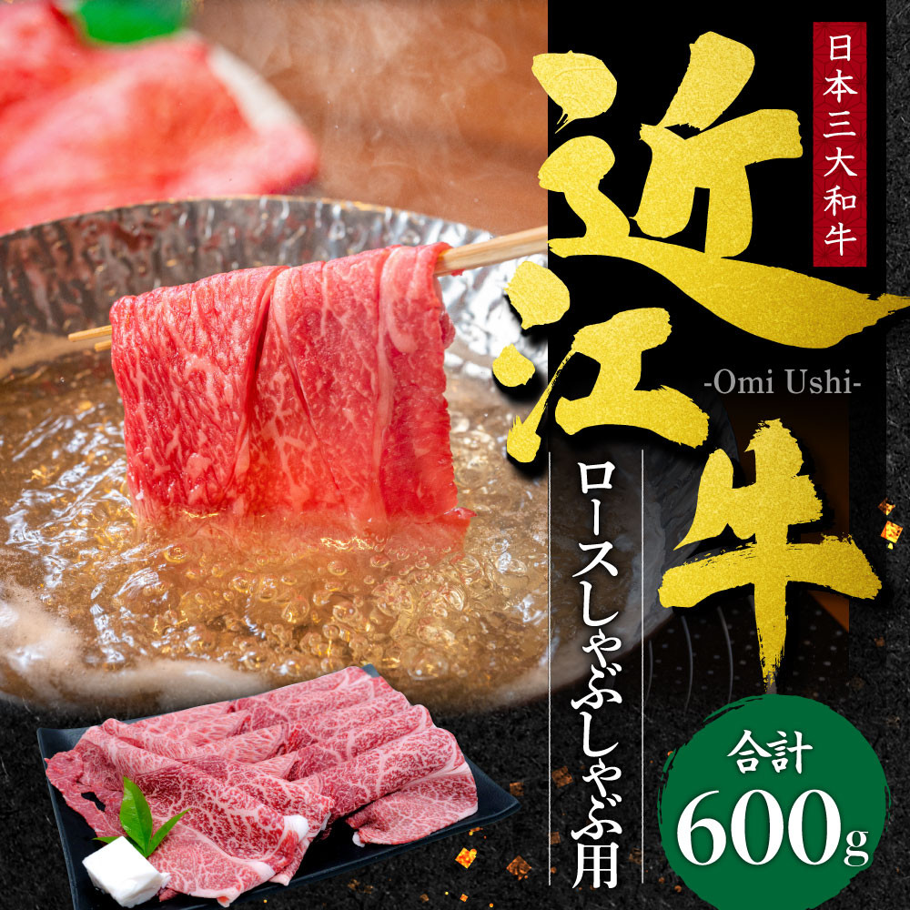 
D-E10 近江牛 ロース しゃぶしゃぶ用600g 本多商店 牛 牛肉 国産 和牛 ブランド牛 ロース肉 赤身 しゃぶしゃぶ 炒め物 煮物 ギフト 贈り物 高級 人気 近江 東近江市 滋賀県
