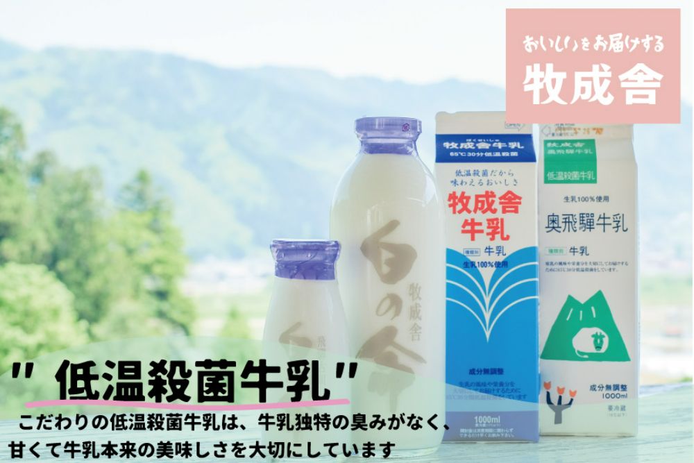 【 6ヶ月 定期便 】飛騨の牛乳屋こだわり 牛乳 3本 飲むヨーグルト 2本 セット 低温殺菌 6回 無添加 牧成舎 飛騨高山 TR3335