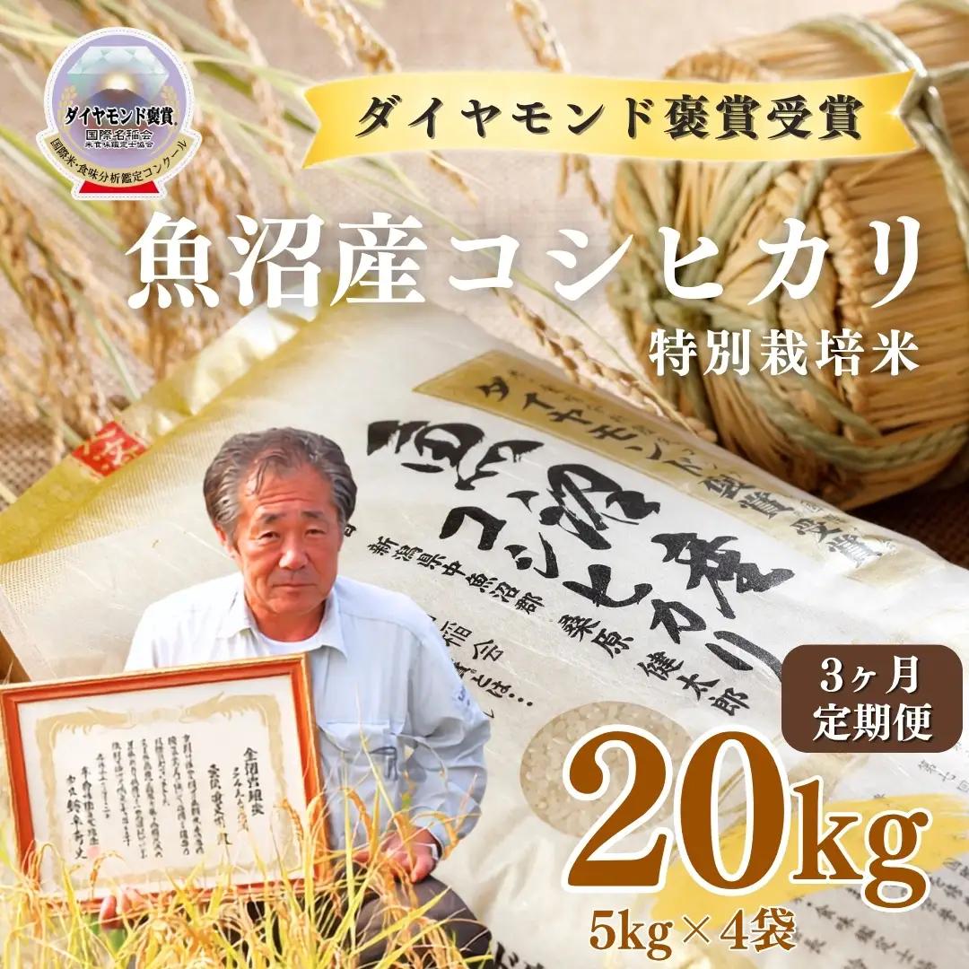 令和8年産 3ヶ月定期便 魚沼産コシヒカリ ダイヤモンド褒賞受賞 特別栽培米 20kg（5kg×4袋） |津南町 魚沼
