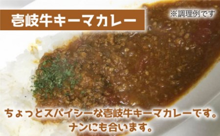 【全6回定期便】壱岐牛キーマカレー [JBW027] 210000 210000円 21万円 コダワリカレー こだわりカレー おすすめカレー おススメカレー 人気カレー 定番カレー 通販カレー お取り