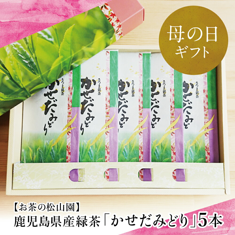 【ふるさと納税】【母の日ギフト】鹿児島県産緑茶 かせだみどり（80g×5袋） お茶 茶葉 日本茶 緑茶 飲料 飲み物 国産 鹿児島県産 お茶の松山園 南さつま市 贈り物 ギフト 贈答用 送料無料