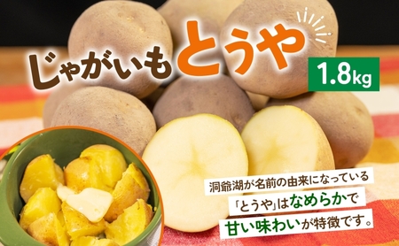 数量限定 根菜3種セット 計8.6kg 土付き 長芋 5kg 土付き ごぼう 1.8kg じゃがいも 1.8kg 先行予約 2026年11月下旬～12月下旬までのお届け 野菜 詰め合わせ 根菜 常温 
