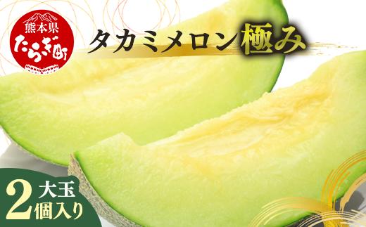 【2023年5月下旬発送開始】タカミメロン（極み）大玉2個入り 3.4kg〜4kg メロン 果物 フルーツ