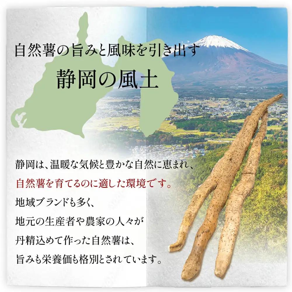 【7日以内発送】 自然薯 900g とろろ じねんじょ 【自然薯】 尾白弁当