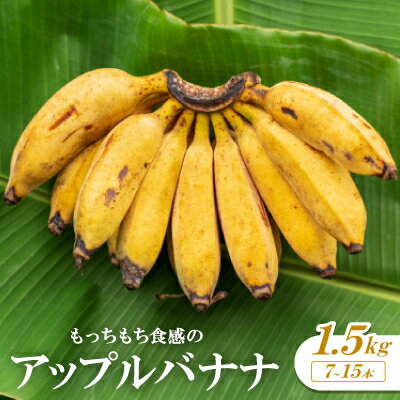 【ふるさと納税】もっちもち食感のアップルバナナ1.5kg(7～15本)【1579241】