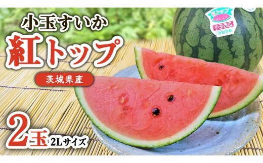 
            【 先行予約 】 希少品種 「 紅トップ 」 茨城県産 小玉 すいか  2玉入り 2Lサイズ スイカ [AG005ci]
          