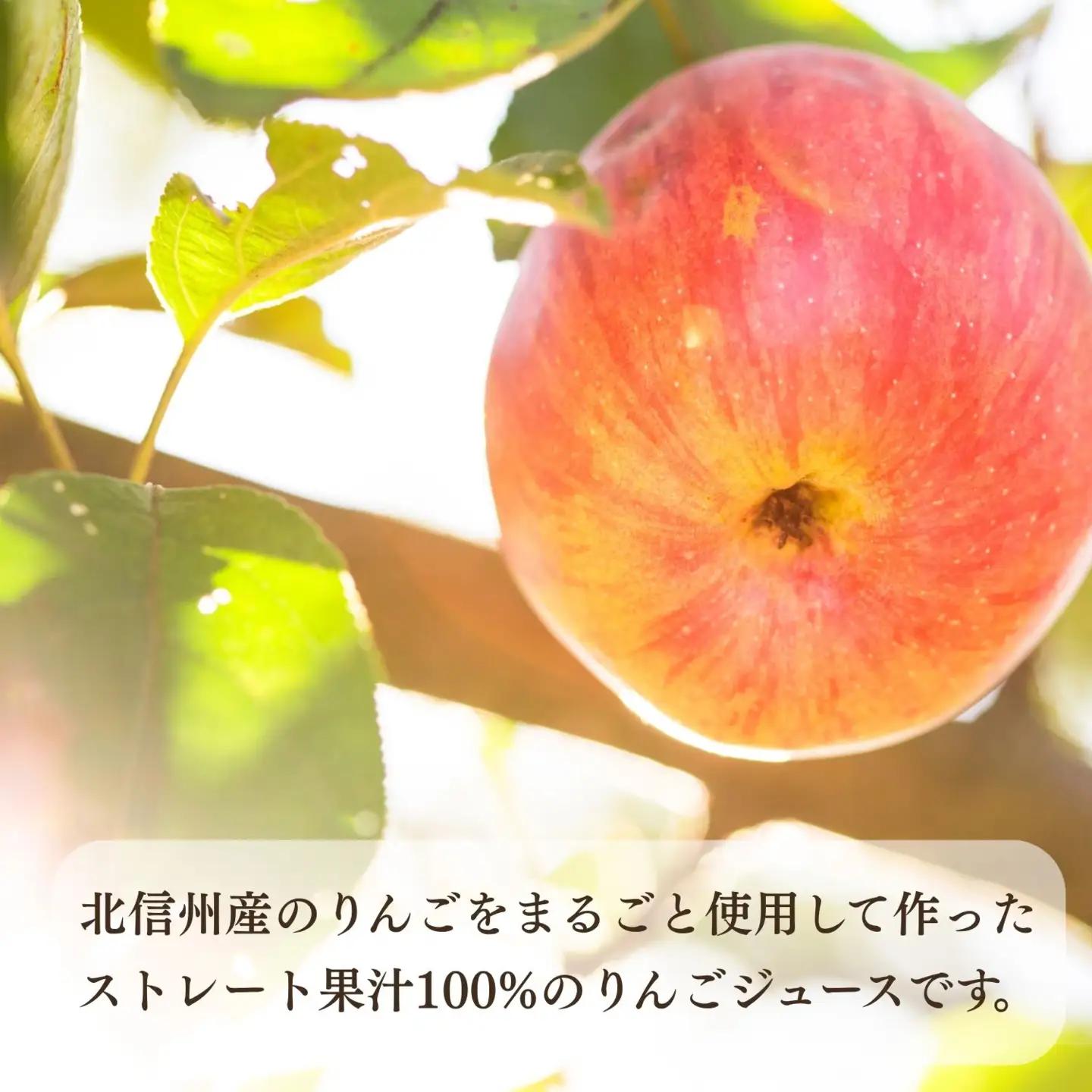 【果汁100%】りんごジュース 1L×6本 （At-002）りんごジュース_