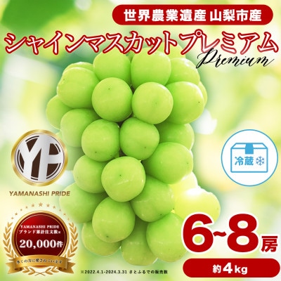 2026年度先行予約 フルーツ王国山梨 厳選 シャインマスカット 6～8房(約4kg) 2kg×2箱【配送不可地域：離島】