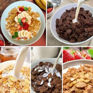 日食コーンフレークセット　5種類10点（A06）