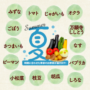 【厳選】 野菜セット 定期便 3回 野菜