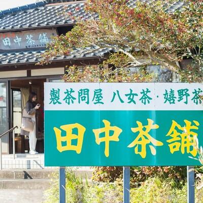 ふるさと納税 神埼市 【新茶受付中5月中旬〜発送開始】普段使いに「煎茶」200g×4本・茶缶付き (H047107) |  | 03