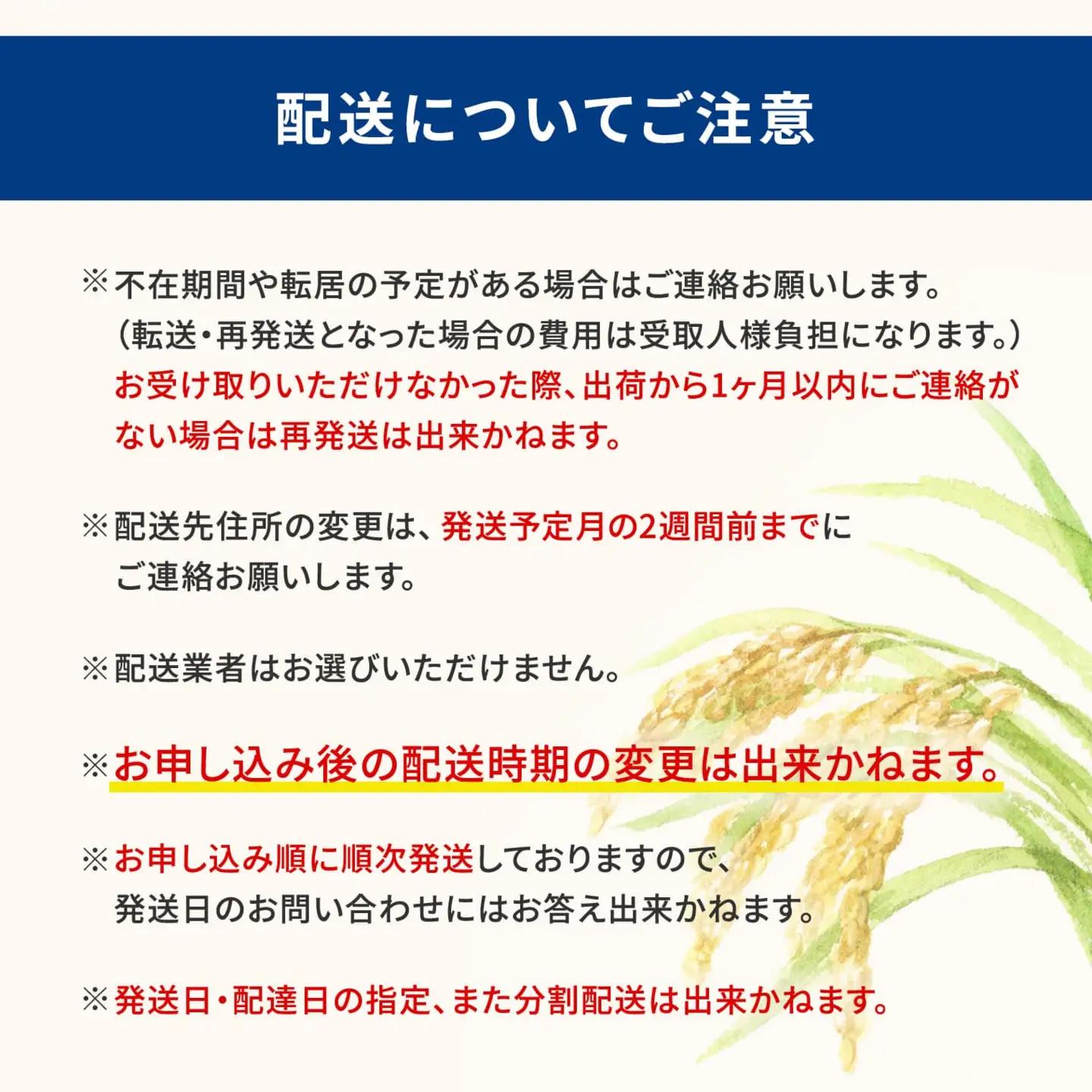 ブレンド米 10kg とねさかい 令和8年6月内発送  茨城県産 K2632