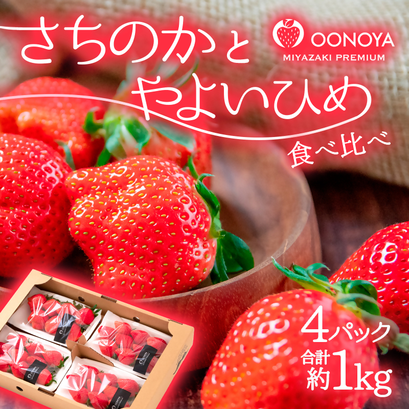 【先行予約】厳選いちご食べ比べ 250ｇ×4パック「やよいひめ」＆「さちのか」苺大野屋<1.2-12>果物 くだもの フルーツ 宮崎県西都市