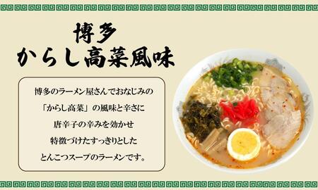 うまかっちゃん 5食＆博多からし高菜風味 5食 計10食セット