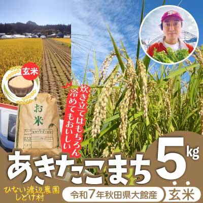 ふるさと納税 大館市 【令和7年産】秋田県産「あきたこまち」玄米5kg(5kg×1袋)