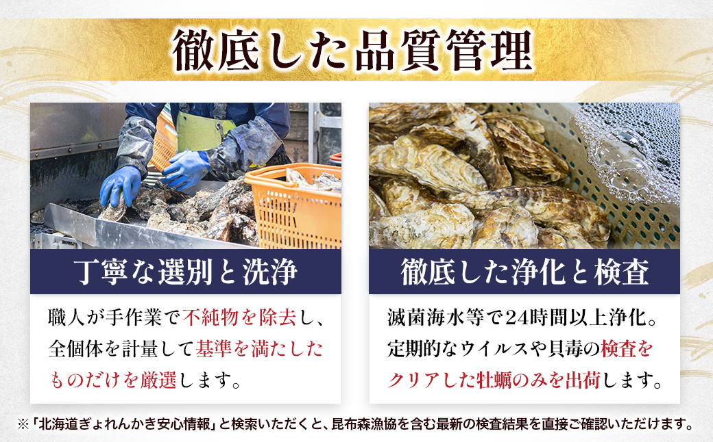 【先行予約】北海道 仙鳳趾名産 牡蠣 150g～199g×25コ＋かきナイフ付き かき漁師直送 K1-7 （出荷期間：2026年7月1日～9月末）【センポウシ : 釧路町の東 厚岸湾の西 カキの名産地