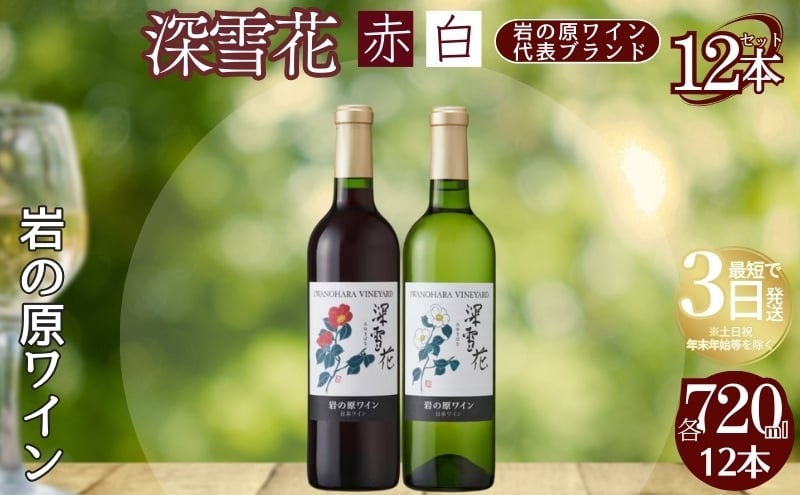 
            ワイン 岩の原ワイン 深雪花 赤白12本セット（赤×6本、白×6本 各720ml） アルコール 酒 ギフト 新潟 上越 最短3日で発送
          