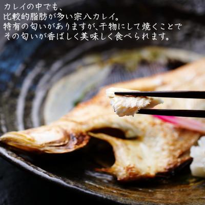 ふるさと納税 鹿部町 冷凍軽石干し 宗八カレイ 5尾入り 合計1kg  F24-4S |  | 01