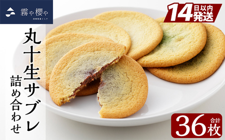 C-086-A 丸十生サブレ詰め合わせ(12枚入×3箱 計36枚)【徳重製菓とらや】霧島市 生サブレ サブレ しっとり なめらか マイルド お菓子 焼菓子 おやつ お土産 贈り物 手土産 チョコレート ホワイトチョコレート 霧島茶チョコレート