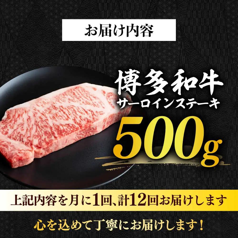 サーロイン 【全12回定期便】 500g（250g×2枚） [ABBP032] サーロイン