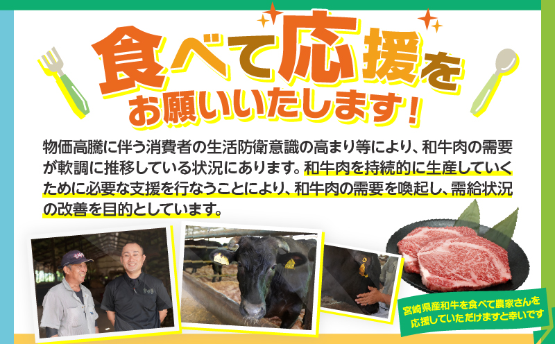 生産者応援≪肉質等級4等級以上≫宮崎牛ロースステーキ(計1kg) 肉 牛 牛肉 焼肉 国産_T030-1083