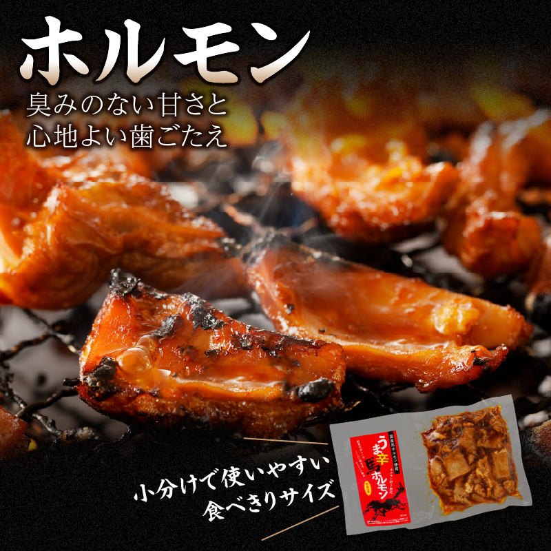 【父の日ギフト】国産【馬ホルモン】200g×5パック 計1kg 父の日ギフト ギフト 贈り物 父の日 馬肉 焼肉 旨辛味 小分け 馬 馬肉 ホルモン 旨辛 小分け 食べきりサイズ ホルモン炒め 焼きそ