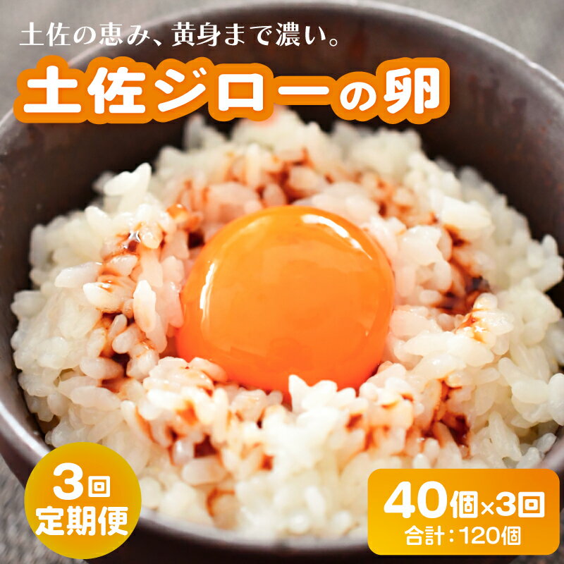 【ふるさと納税】 3回定期便土佐ジローの卵 40個入り 産地直送 国産 たまごのおくだ 卵 タマゴ 鶏卵 たまごかけごはん TKG オムレツ 卵かけご飯 たまご焼き おいしい おすすめ 高知県 南国市