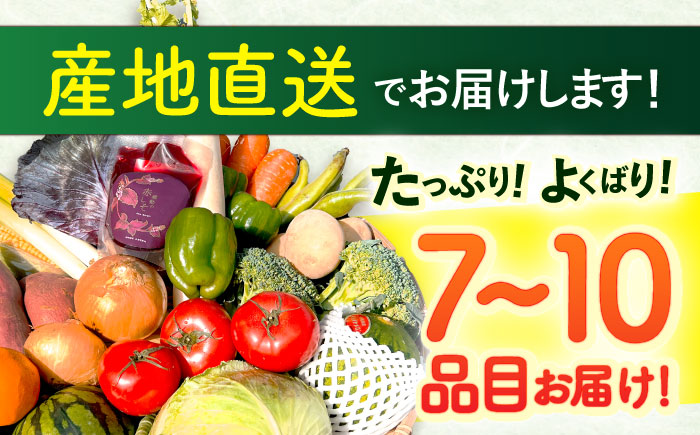 【3回定期便】野菜等詰め合わせセット(7〜10品目) / 野菜 果物 フルーツ くだもの きのこ しそ / 諫早市 / 松尾農園 [AHAY007]