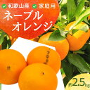 【ふるさと納税】＜2月より発送＞家庭用 ネーブルオレンジ2.5kg+75g（傷み補償分）【訳あり・わけあり】【光センサー選別】※北海道・沖縄・離島への配送不可 ※2025年2月～2月下旬ごろに順次発送予定