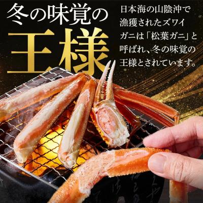 ふるさと納税 境港市 <火〜木着><11月中旬〜3月上旬発送予定>浜茹松葉ガニ足欠(2枚/計約800g以上) |  | 01