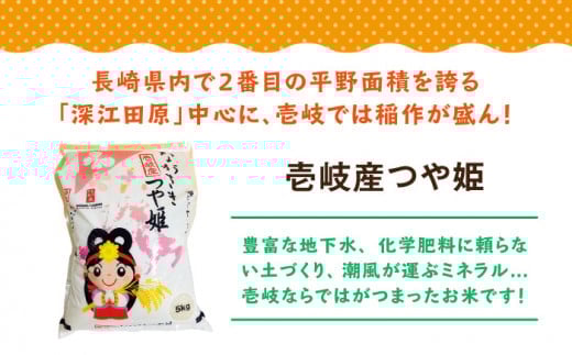 お米 白米 米 白米 ごはん 美味しい おいしい