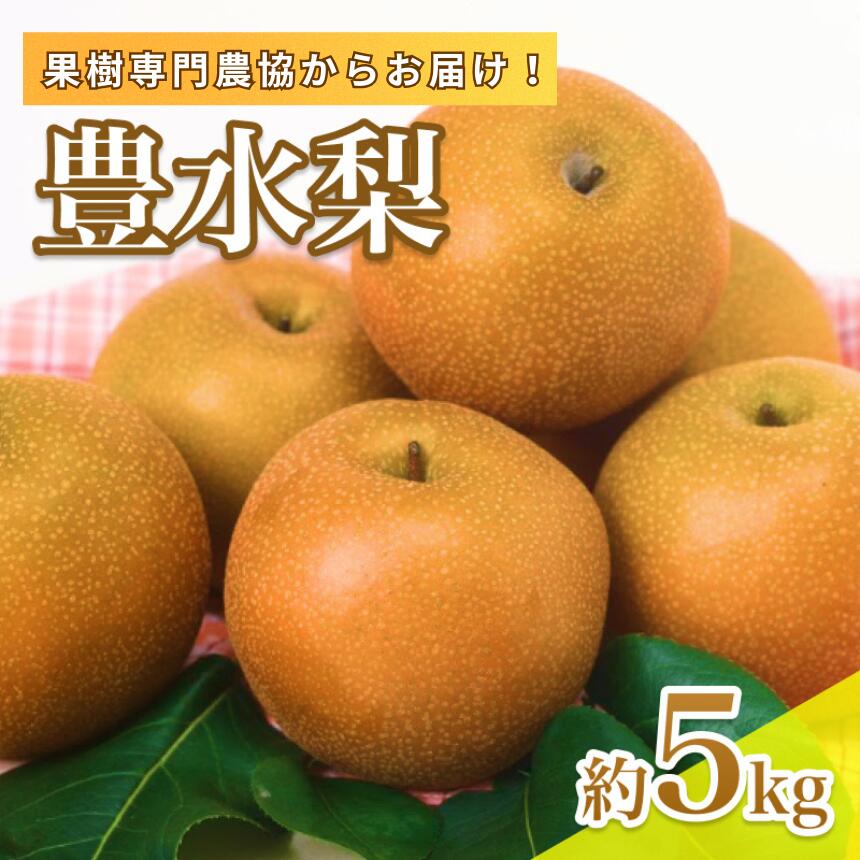 【ふるさと納税】【9月上旬から発送予定】南信州産 「豊水梨」 約5kg 12～16玉 糖度11.0以上 | 果物 くだもの フルーツ 豊水梨 梨 なし ナシ 新鮮 長野県 信州 南信州 飯田市 BI04