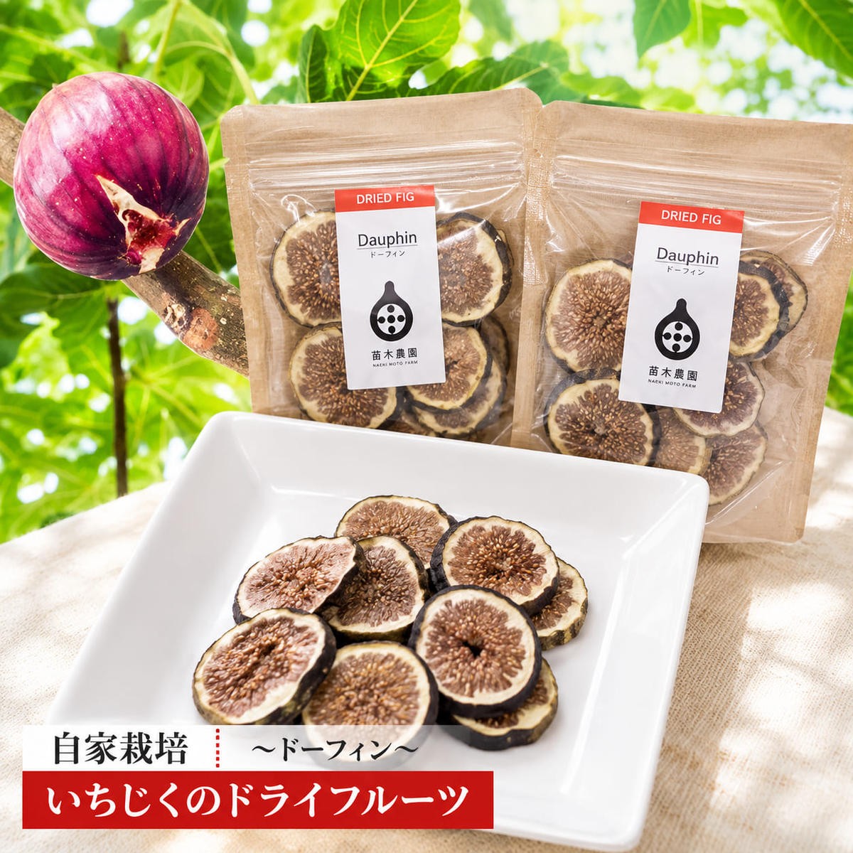 
                  自家栽培いちじくのドライフルーツ～ドーフィン～ 加工食品 乾燥いちじく 乾燥フルーツ いちじくの甘み 風味 おやつ 間食 
                
