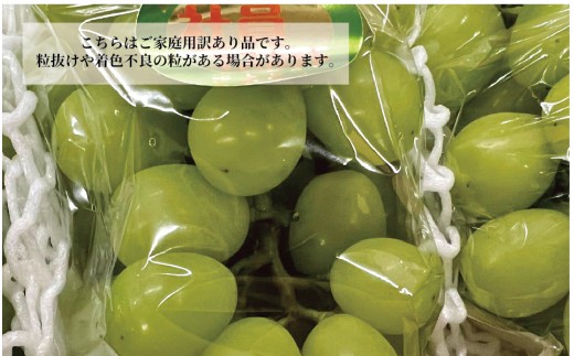 【訳あり】シャインマスカット ご家庭用/約2.2kg (岡山県産) 食べ応え満足便!