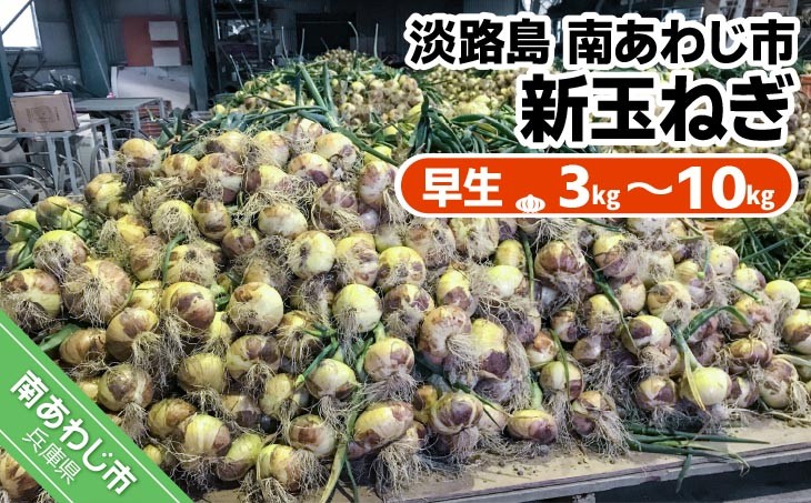 
                  【量が選べる！】新玉ねぎ　淡路島南あわじ市 早生　◆配送4月下旬～5月下旬
                