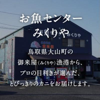 ふるさと納税 日南町 OM-16-1 【早期先行予約】ボイル松葉ガニ(300g〜400gを2枚)冷蔵配送 |  | 01