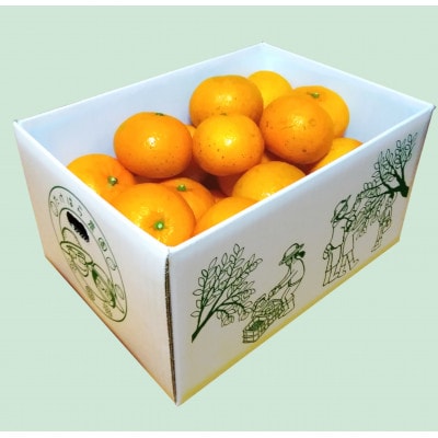 【先行受付】【2026年2月上旬以降順次発送】たけはら農園のたんかん(ご家庭用バラ詰め5kg)【1609446】