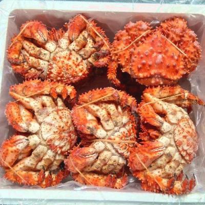 ふるさと納税 根室市 【北海道根室産】花咲ガニ10尾(計3.5kg前後) C-57052 |  | 01