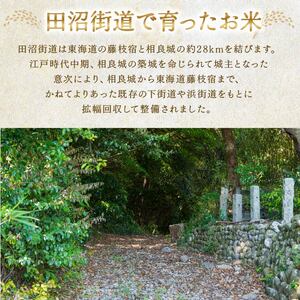 米 白米 新米 5kg お米 精米 令和7年度産 ふるさと米 先行予約 きぬひかり にじのきらめき きぬむすめ ごはん ケーティー 静岡県 牧之原市 ~牧之原から採れたてのお米をお届けします~