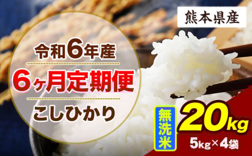 【6ヶ月定期便】令和6年産 定期便 こしひかり 20kg 無洗米 阿蘇 うぶやま 米 定期便 熊本県産 ふるさと納税 精米 ひの 米 こめ ふるさとのうぜい コシヒカリ コメ お米 おこめ《申込み翌月から出荷》