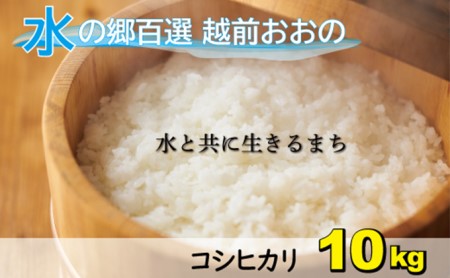 【令和8年産 新米】こしひかり（福井県大野市産）エコファーマー米（白米）10kg（5kg×2袋）