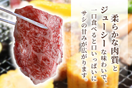 根羽こだわり和牛 焼肉 盛り合わせ 400g バラ肉 モモ肉  国産黒毛和牛  