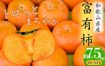 トロっとまろやか　富有柿(約7.5kg)【2025年11月上旬～下旬発送予定】【A016-frks009】