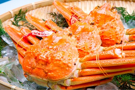 【厳選！！タグ付きブランド】茹で松葉かに 鮮度抜群、釜茹でにてお届け！！ 600g級×1杯（日本海山陰西部産） 蟹